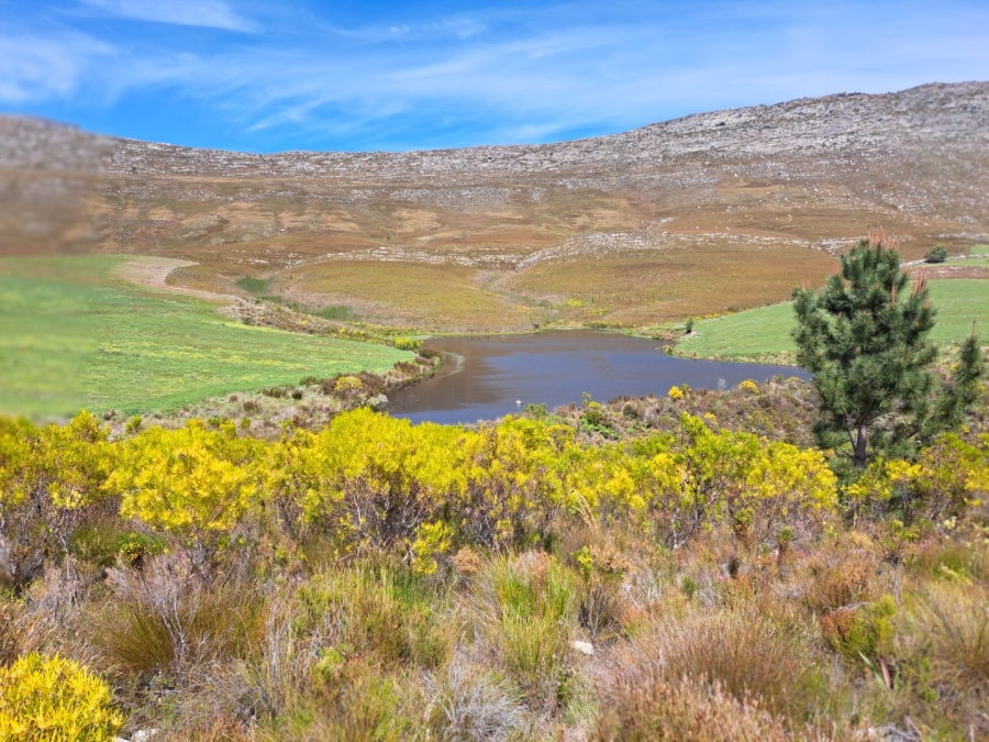 7 Bedroom Property for Sale in Riversdale Rural Western Cape